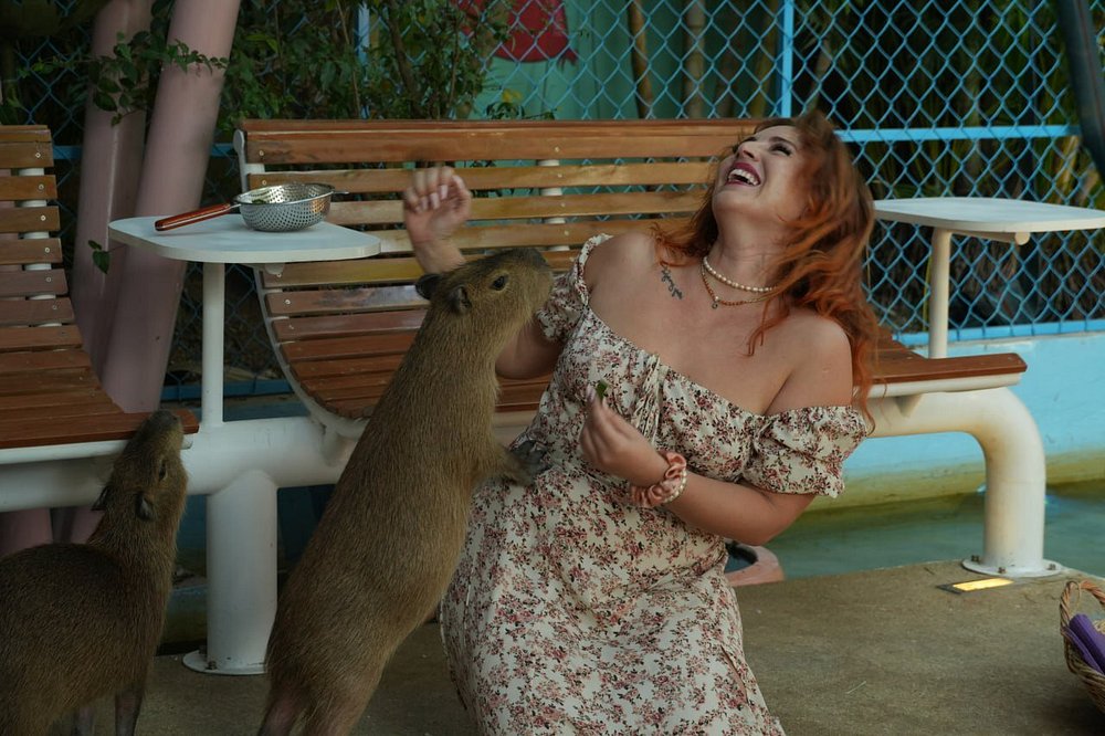 Capybara Experience Gallery Image 2